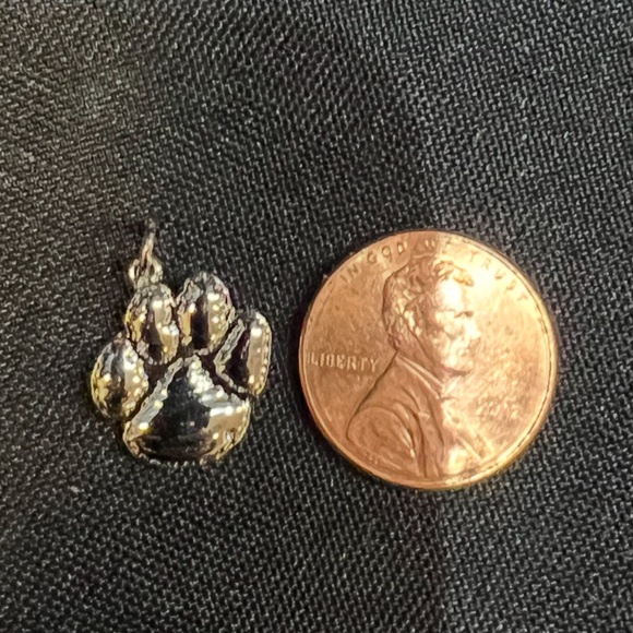 Clemson Tigers Paw Charm or Pendant - Picture 4 of 4